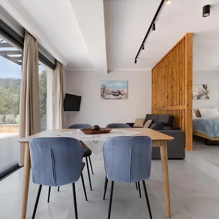 Villa Ilianthi Kalamitsi (Lefkada)